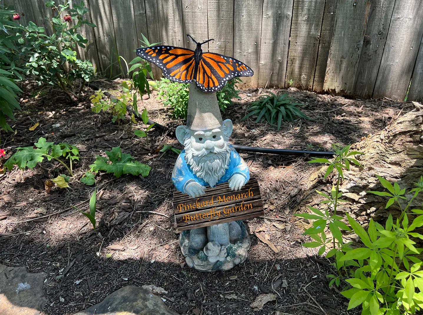 New & Improved Monarch Butterfly Garden