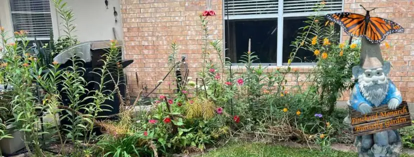 Arrival of mid Autumn