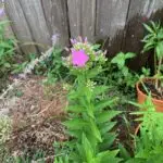 IMG_1485-scaled.jpeg