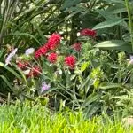 IMG_5433-scaled.jpeg