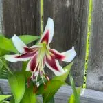 IMG_5465-scaled.jpeg