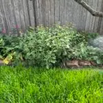 IMG_5466-scaled.jpeg