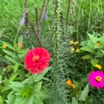 IMG_5473-scaled.jpeg