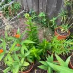 IMG_5479-scaled.jpeg