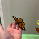 IMG_6784-2-scaled.jpeg