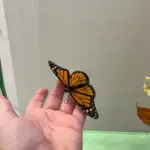 IMG_6784-2-scaled.jpeg