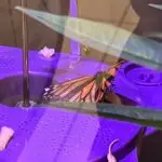 IMG_6824-scaled.jpeg