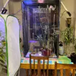 IMG_6828-scaled.jpeg