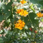 img_6128-scaled.jpeg