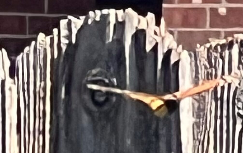 Monarch Migration 2025