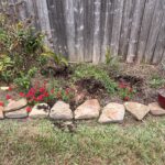 Post Transplant removal