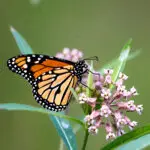 Signature: qW7aA8RIzySS5RguPRV7Y2mP5h6jT9zVafH/bT56Fjf6oGYynFO9ELccRMK7ux5I/gDyohI8ZeRW9/LMqqR4+c5gbf4rnFDX9dtoq0PtJGznjoCK46dMUvmxsJWH7FJ8GJfkpleqAv+ONIa7r2AgTRz8jo312GV51xhScroX26O4jcWUuFvB2r+UJmyXGrndiJVmXmTERiXAmYDHYDCT5l0Jn4yDyXQBnqI+qggM5+QX34WmXgl8693uFT85nILBfaiym9hIjxGXEzTTtcVzdA==