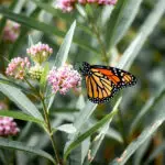 Signature: pmut+cw67T5VQG3We5IeRDf3/gIQSp7B5+0751OvAxFn7vyh31cmdB/zooireQBEq7AKveILa2clXVAfE/xj78ws3lq+BXfGq7NRiH6t9V/4AOB9qFnQWhAkZ5ipzqkQq8FTio+ieaeihiJeixCYJEfcO2n7Gf4j4SK0qmLHwJo6kzDCkHIzoo0lDOsCPhPlbixw6kPJeAf5dSRklWeF/GTA4T+NPmLgQ2AJYm8X+AhETWsuTOkuKaLUz97SelsHrFb/efeV/GE9/gubR4DDSSlb2x4reFt1fsYx5DHqJO8=