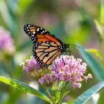 Signature: hcTFcoqAP+1FafFgCx3Fob7or6/jmI12QJhEdfUCYheZ2XNw48FW97aqjcVGB9mQndWn/z75RP+8NawIQaasEkw1s4c097tkkxirOsKALTkrM/3d7dHL7hDt2K9GTjxczoEMMpcVrXMar0BgV1wJR3+mRtdbj+zyTsvLssRLvdHcI3xE2f5aqsKTleybTIAFeU3vulYR7p1s8BIdbVkdRKs+aIsKpo1+EpafTGdKXtN8LkNM0/mpgWHzTWfqanAfJaR/JmMPftuW6hzd4m9wKOmqW+Sejh08U2YC9G7fY5k=