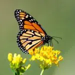 Signature: ggjI42+kpq2ro7L+//5QH+EU2nseIWQvS+WFmidiyOKGtX+hCHLqBPTRqgqtgTfmZfZkYu+cQIFl03FZUbaiV+nd6NzdDghDSCFb9i8GEFeeZ8YRmEwCHpiCq9qdZB36EAtb7FCerUvwVPhQlN8hOs9PvA4Iw++0ru3xX+u4vJOJq7G1OGBuhQTLzf9ogtTsCGi1OCtxoAhXkf5n3qIdolT9RXclTUlp5f1EUDHJ34j5HXfNFExw9mS3Gr9cumd+8LdTPa0F+y+ieE5aCkEBNxzg2zc7VWR2MwrV2NgRA/0=