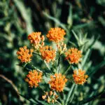 Signature: pvh6K1oxJu60kY2uY193Cxjyr/rCHdY+8V+1rTWPs6KKYIb29oCDqv1GprSmlt3t+ly99cDU1ksQqVuJSX+5QWbBCKzijUWfs7FVBiRev+6k5eWY+o3QI2uO5YT5DiO6O55uuImv+zeHZlSRkqft4EVu0Nz42xclO1r2iyQs+irt0hXm7YuJg53VQomSA9fq1pWnPIPJR92SprDk9nxHtD7xFB6t47+pq+WTpItnm+SQLHF8uK2H6kugzAf2G028T/W4xchv2/kl9T8TAohlxl2W6WdAwGVYv8YKPCNFQkUrrgULG4D5XqAdlS1gpk6HYY1n/IFWJ7ogmYYAV5FAaacQ0kW58eiKyTECOoOS3OI=