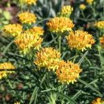 Signature: eVx0VknaltXWOtX+faTgYXDbR+iKv3JrvQcseb4/sVCqrSi4dAU807L108YXp71sg+UFgyG2eak9FdtEYiLdNBRPfnY6kRE2tj0/+UUds/7Tu8kqitEubvbRP0xn5FJe0l9CYPecnpchmVwe0Iru26vvAuLrqd+qk90CYS0V2W70EYyUgR5+ecQk3Cvc35yhTRIRktJdzd+MYQGdDRYDvGJ4PXsHd385Chbl6Co4YAvpBaaQvv8pRMYJAYIzl40V3XY51eIuRN+IlXH6bYFtl6IG6C96feg74GY+nCBr2hNC1FFQ/FuNqurlTJlJ3AwXnUbHeE12g/S0WciUzqLUAPATC5T4nAZnQ6C4qbguDKrQKClJbOGLrUOLtyr+eeZeQeQyADOaZ7CMeSge6QWfBw==