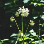 Signature: WBOVW9RDbrU8voOnwVgMbREZDbExcNGOYRomAsBtHYldRUtZGcSZ2hf8SqFkAUpSyRSsYoZQB7WDrf1nJRt+fXBfpAr+nlsewZx8hHXpjMx4BQfL2KkscnKhlcGx2vvI73QdgnkC0YuvEIiT3+paz2e5ZLA/aLD3eEkWqZqTWkN3cVwUqVgbLWTvHCUW8qjbliPctFZpRTcVmSIPboaXKKmSGO281kgKMYgz7Um67CvaaetYz5nRAeyQeEnsoeb4Fegl+7KaiweQnIrAqd6dY56c/kGI269cOH/a16t5c5u5bQqxH2Yk0Y7VTEEOVHK1FWQ+xbffUeOppM6a+XJ2gwad68hojF9S4Thpwx/p7N+3uEMaY6nOFCJOlNiwqY7t