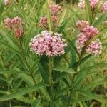 Signature: /97QAWTX/ALrB66NdOZhcpY88KGVzQoZfSZ70FoZ+fbzVWNv0rQyrP8531CBuv1hSNrxeciCM9cvnM/RSdyUnPPEzWtXkmzHMRCXiOZdNs2jsRDCnwQQLTOglZiDepNO6e1csgf0Ou9Vv3XnzPbYkxOV+aLeO+rTfuCyrSGbJ1QJ+knefDulLxQ2FfxHVMx7OjgoU3UQdy1Vu0MRcxzB6QSeFx/ClYyX2/y8lhG8lFaOrP5F1q1sryRR5qszyHuqfvvUA58AlUYoUpGgSOTM/Ezd0Vo8yf3dwieLgmSMzl6PsosQy4UQC4tXmmwPG4yShcN/H8VZJ5P2y3pvyj2L0MR6JYSfSmYzkFPub+B05d0=