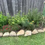 ButterflyGardenFlowers03