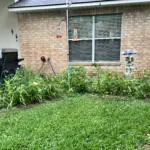 PollinatorGarden