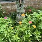 PollinatorGardenFlowers03