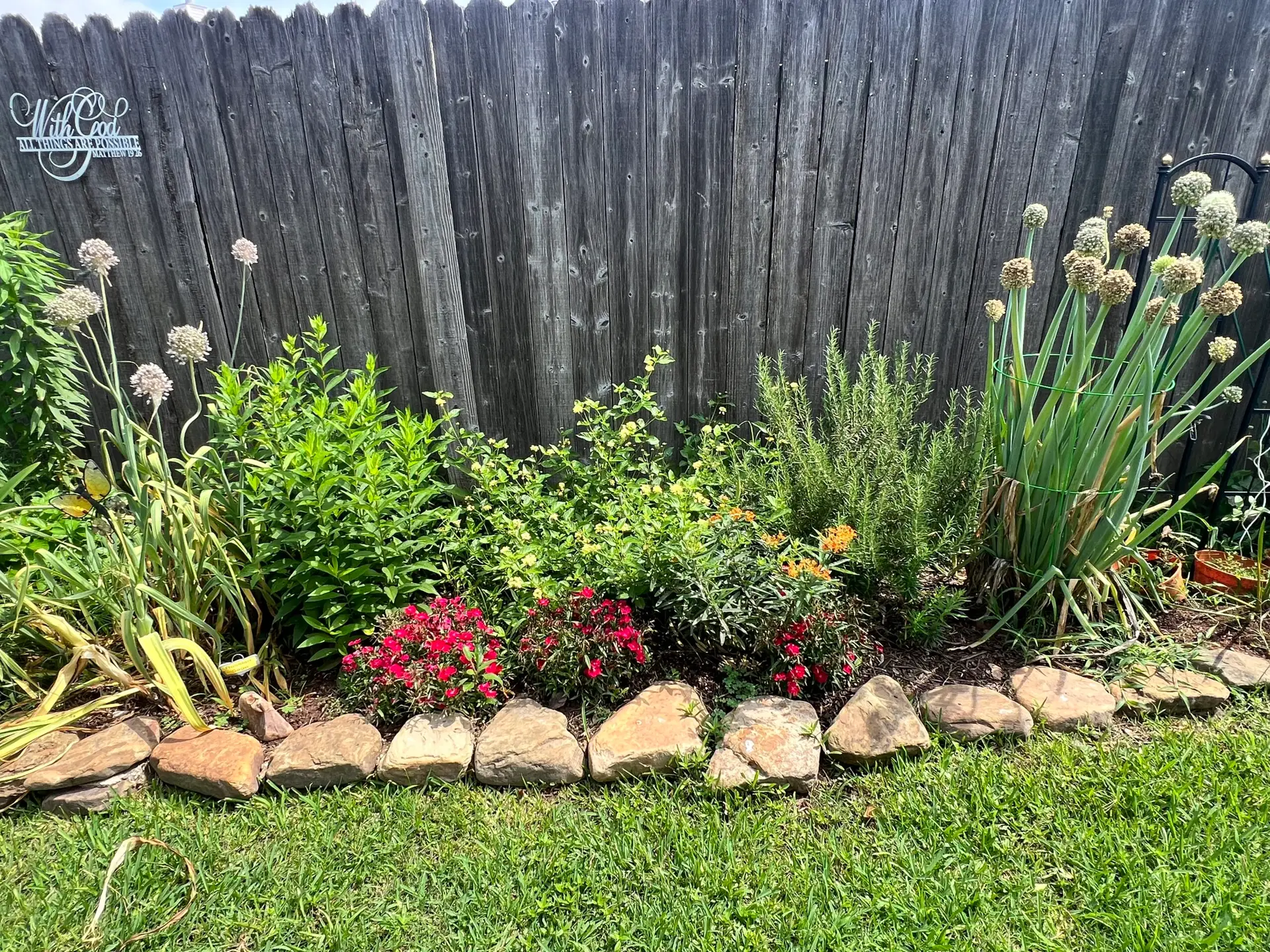 Fresh Frass and Full Milkweed: The Next Wave of Caterpillars Has Arrived