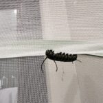 IMG_4991